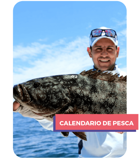 Baja Sport Fishing calendario de pesca