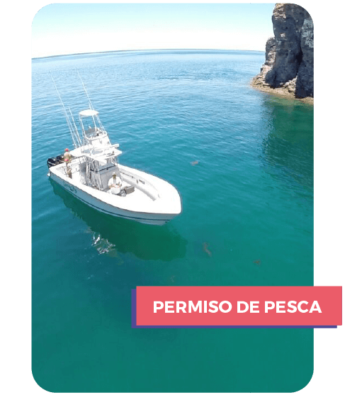 Baja Sport Fishing permiso de pesca