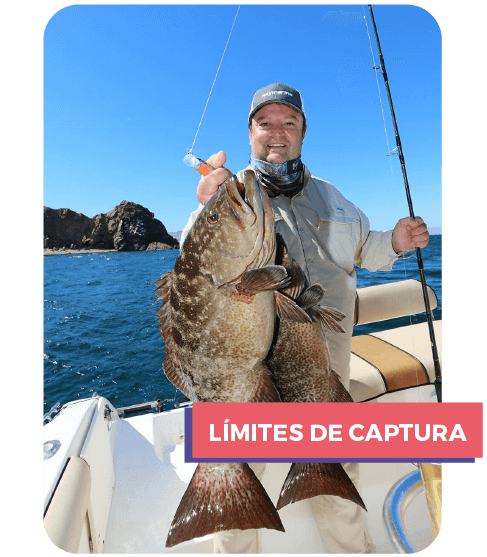 Baja Sport Fishing límite de captura