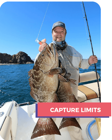 Baja Sport Fishing