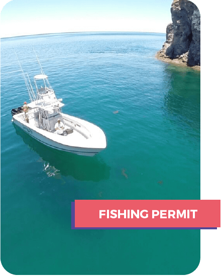 Baja Sport Fishing