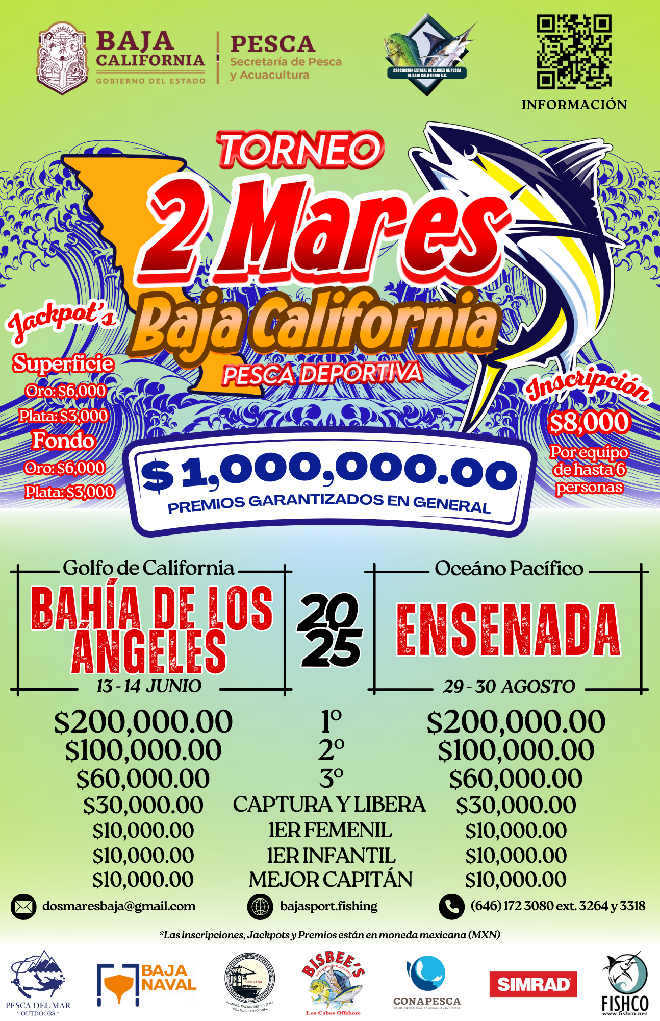 Flyer media carta (5.5x8.5 in) - Español
